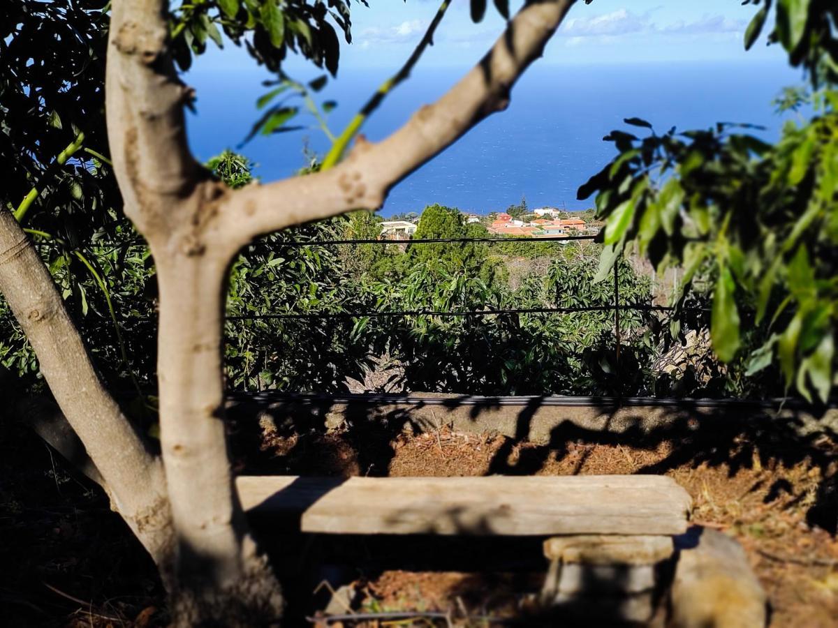 הוילה Puntagorda La Casa De La Cartita מראה חיצוני תמונה