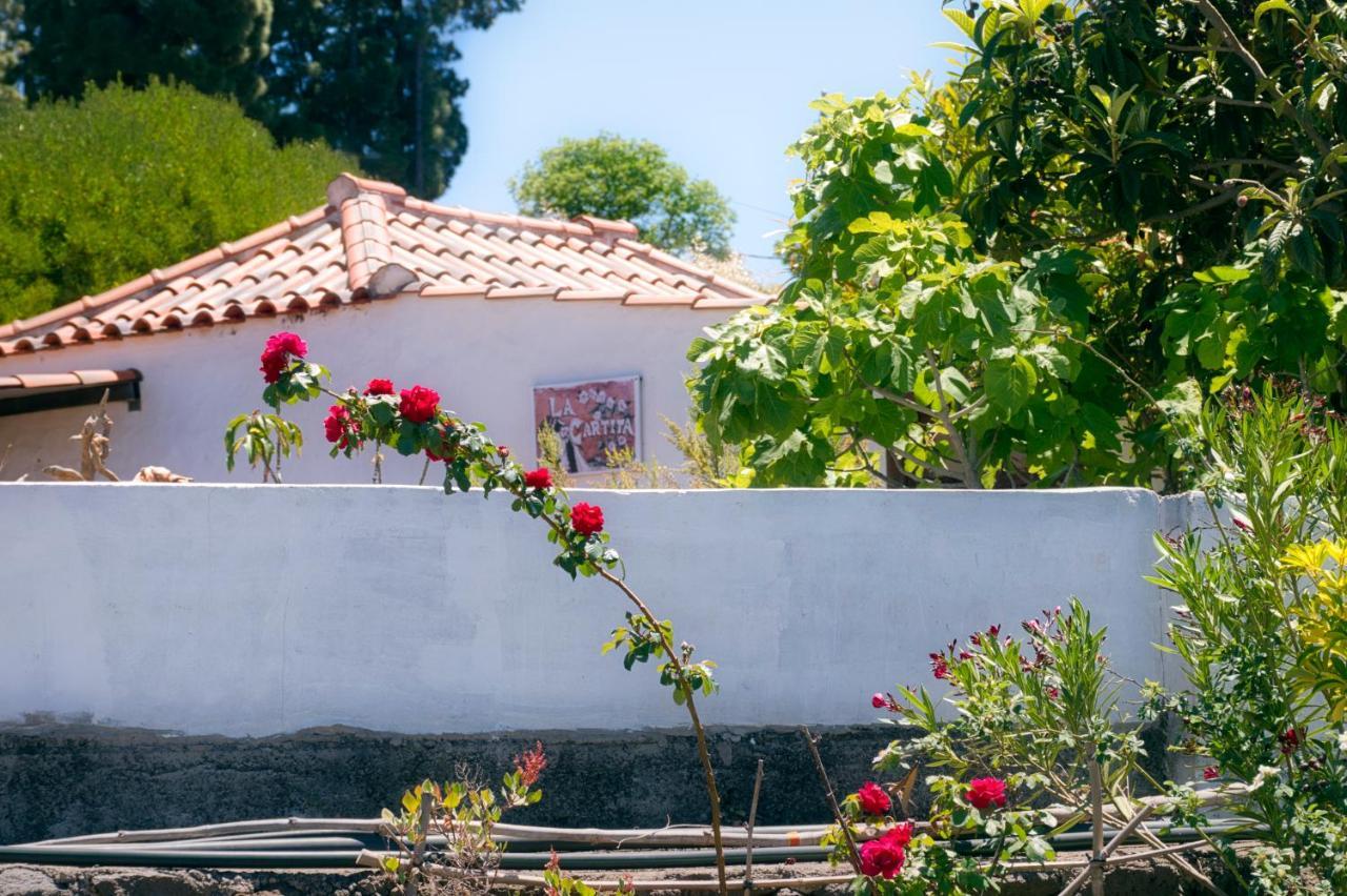 הוילה Puntagorda La Casa De La Cartita מראה חיצוני תמונה