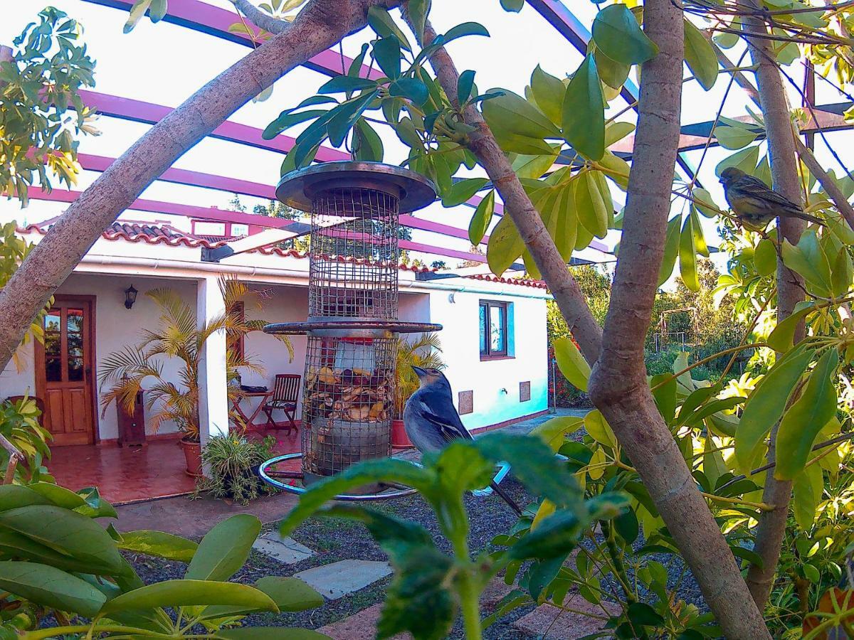 הוילה Puntagorda La Casa De La Cartita מראה חיצוני תמונה